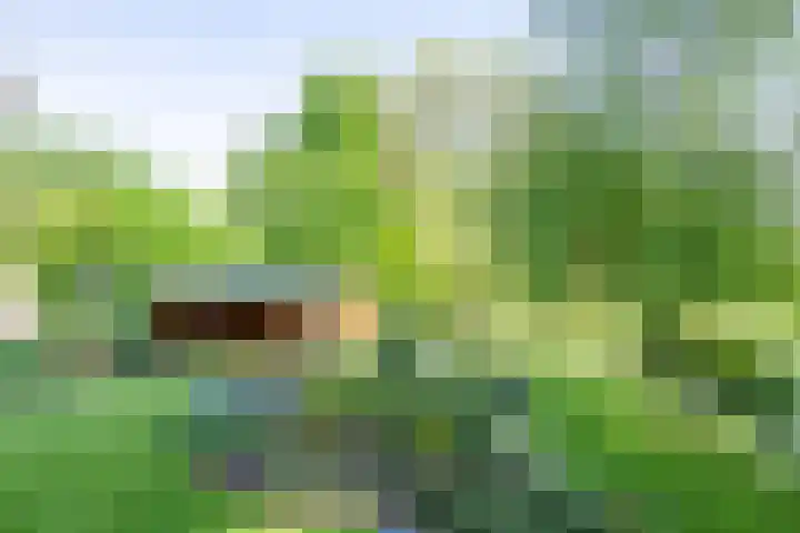 Bergstraat 9 Geleen thumbnail 33