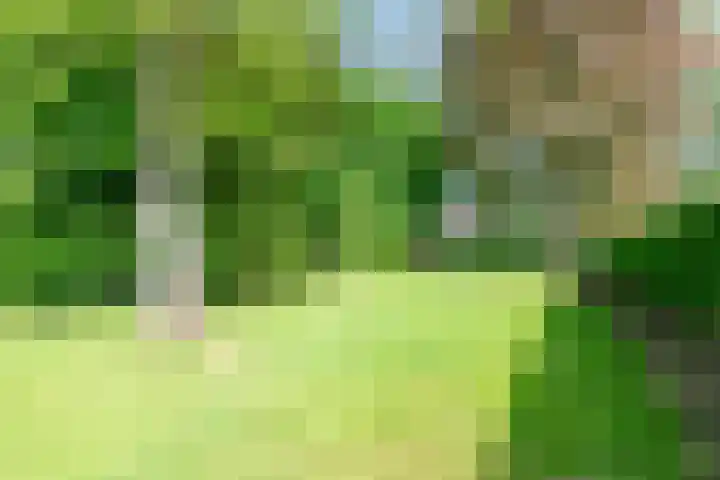 Bergstraat 9 Geleen thumbnail 41