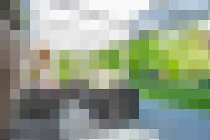 Bergstraat 9 Geleen thumbnail 45
