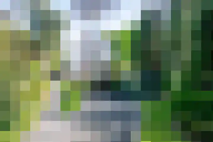 Bergstraat 9 Geleen thumbnail 63