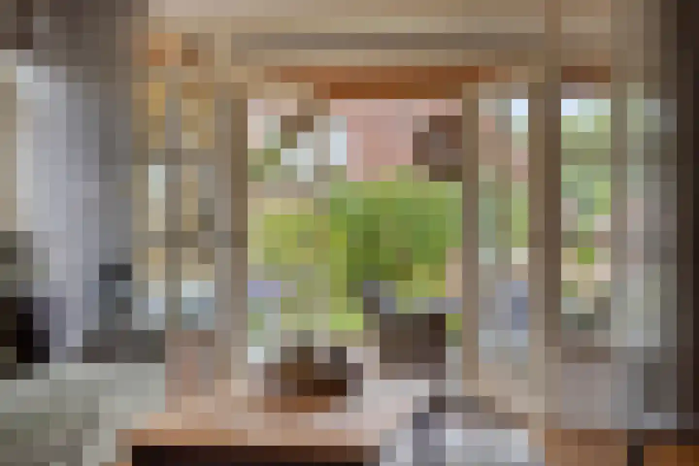 Bergstraße 16 Bad Nieuweschans thumbnail 10
