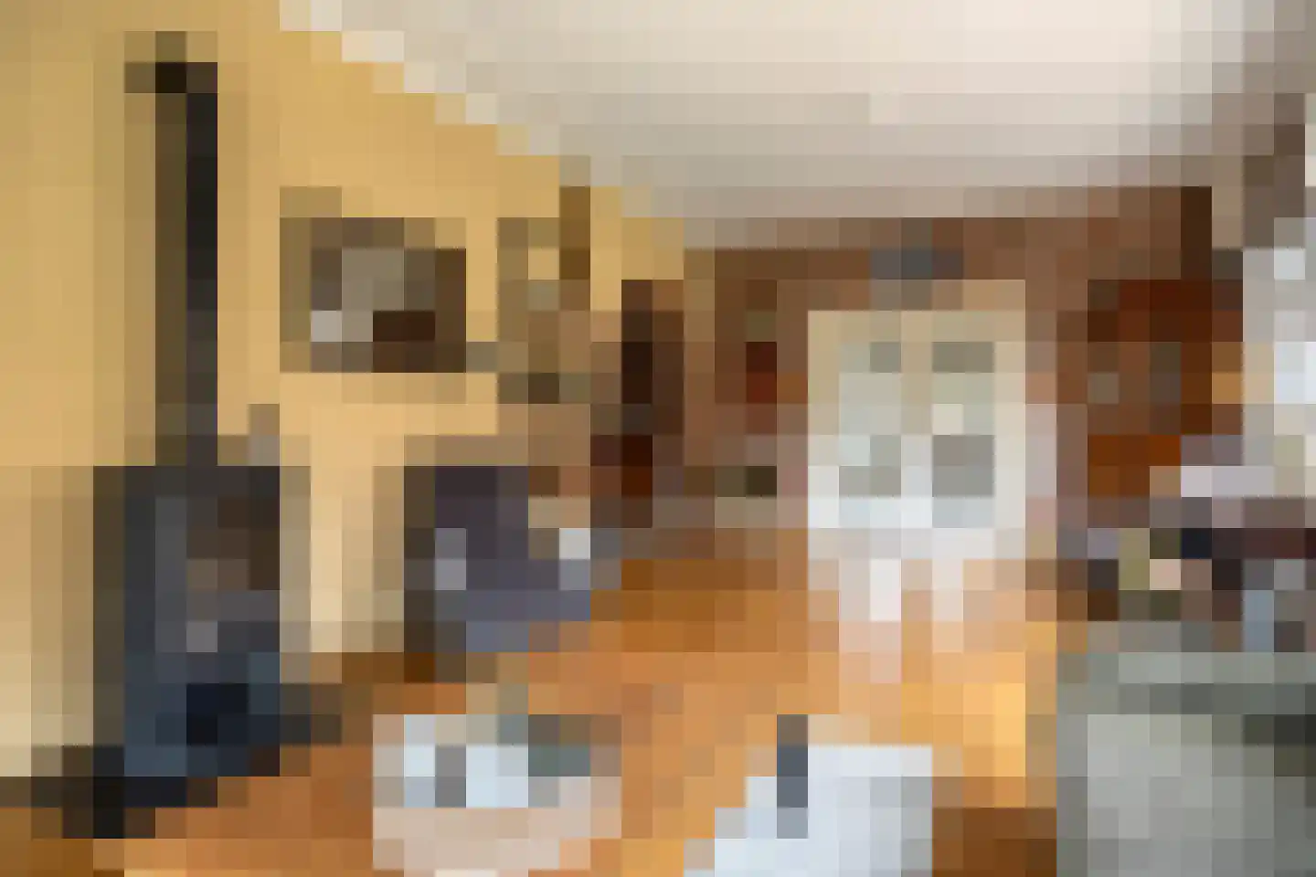 Bergstraße 16 Bad Nieuweschans thumbnail 11