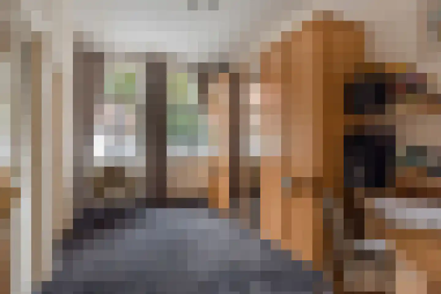 Bergstraße 16 Bad Nieuweschans thumbnail 15
