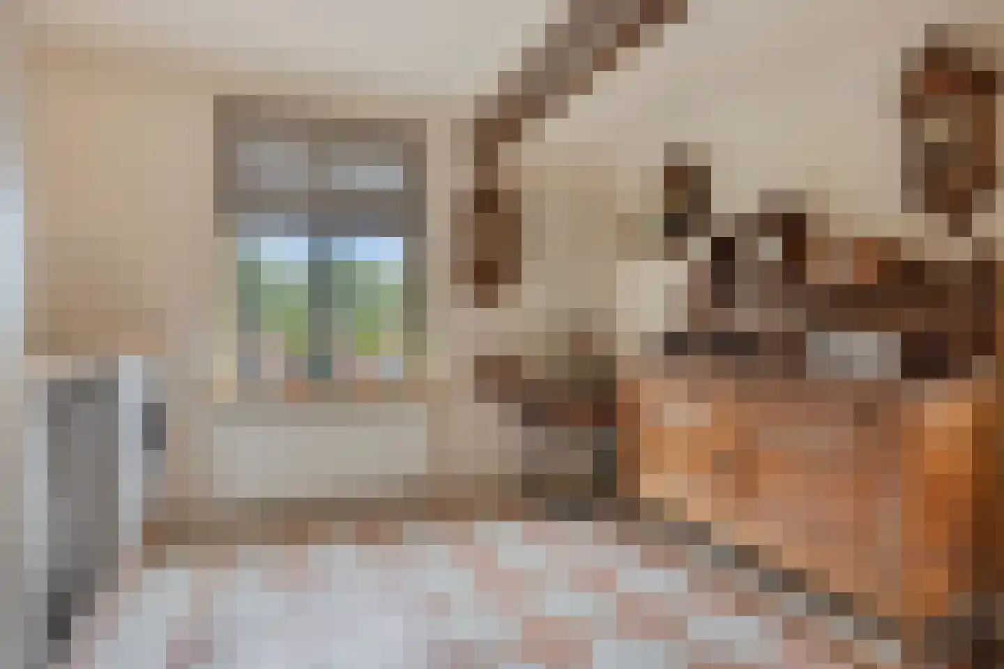 Bergstraße 16 Bad Nieuweschans thumbnail 19