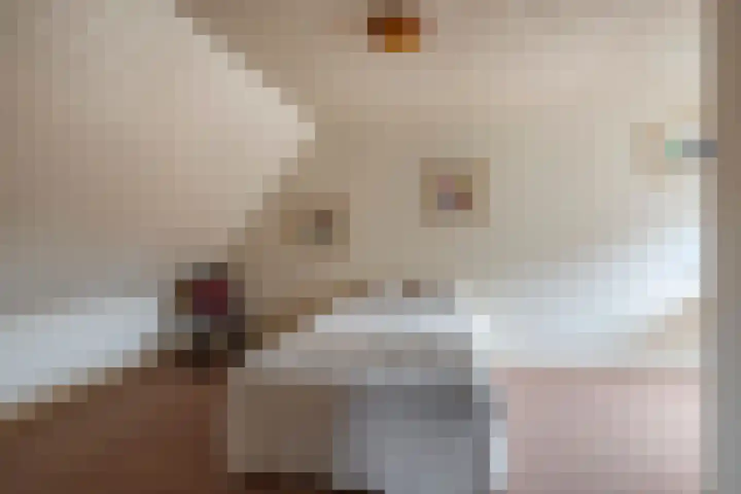 Bergstraße 16 Bad Nieuweschans thumbnail 21