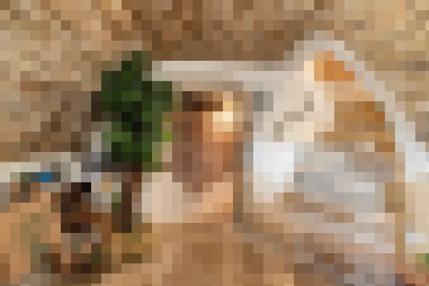 Bergstraße 16 Bad Nieuweschans thumbnail 24