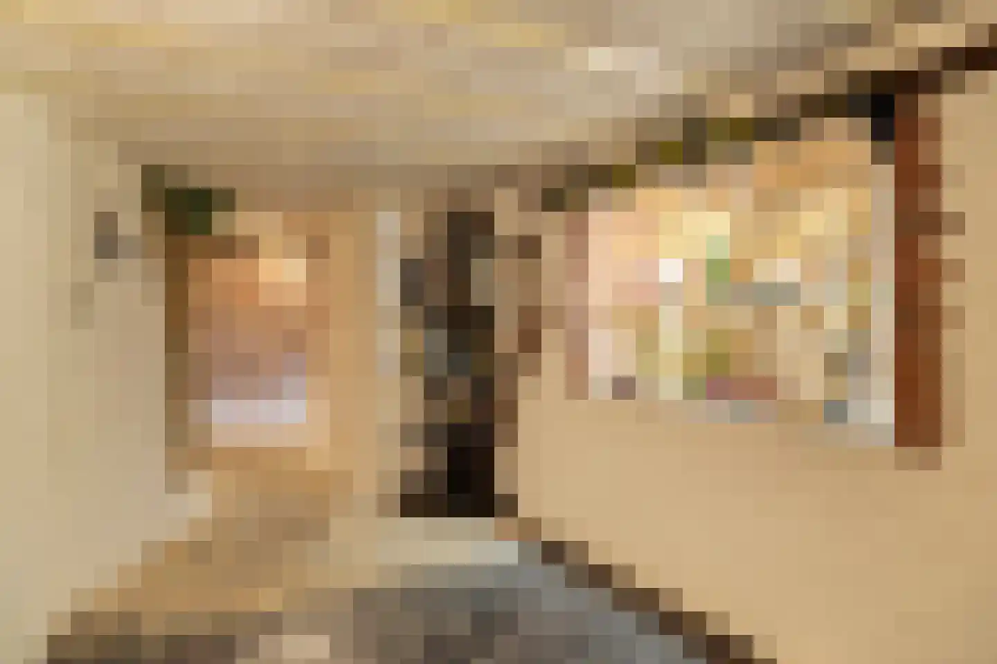 Bergstraße 16 Bad Nieuweschans thumbnail 25