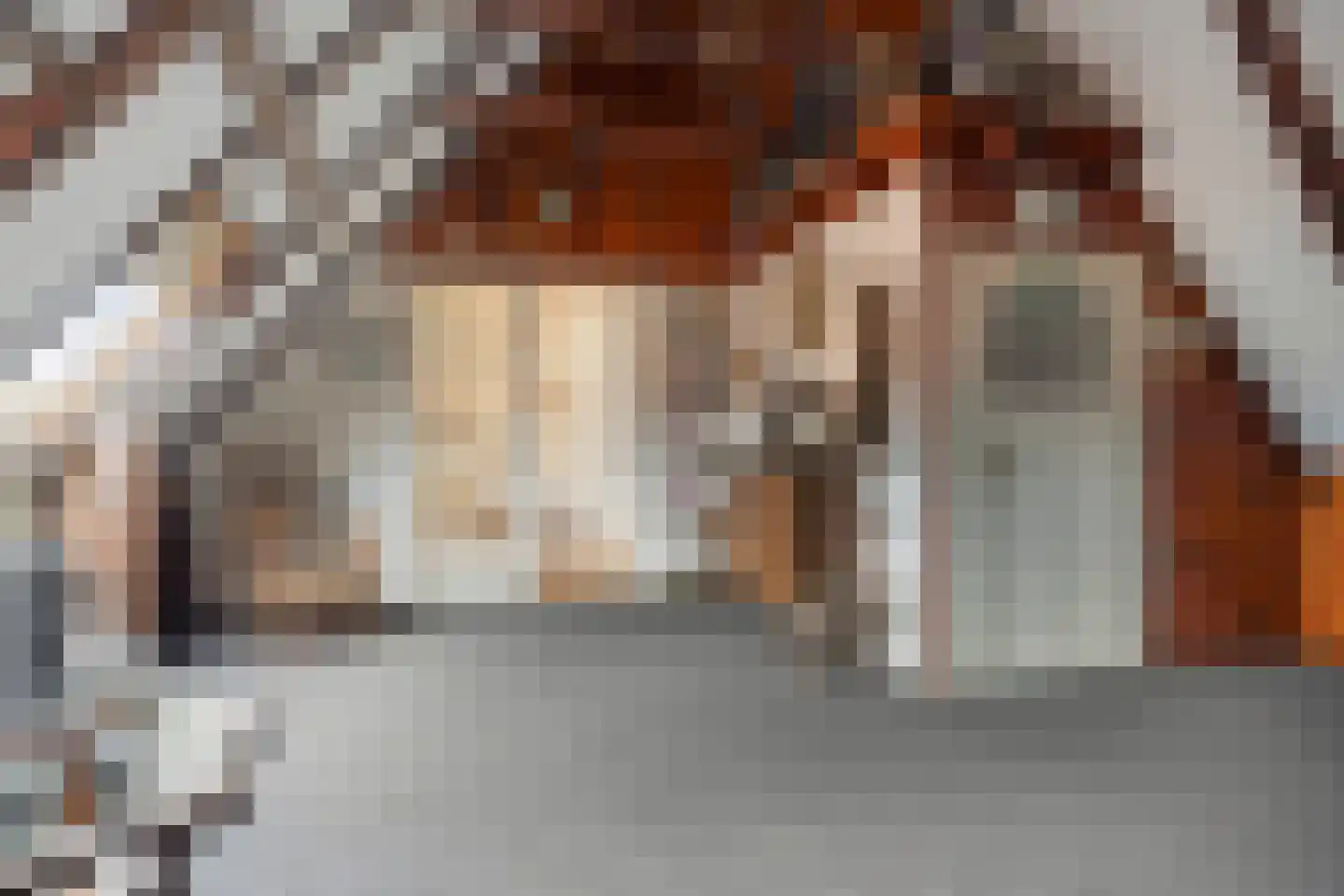 Bergstraße 16 Bad Nieuweschans thumbnail 26
