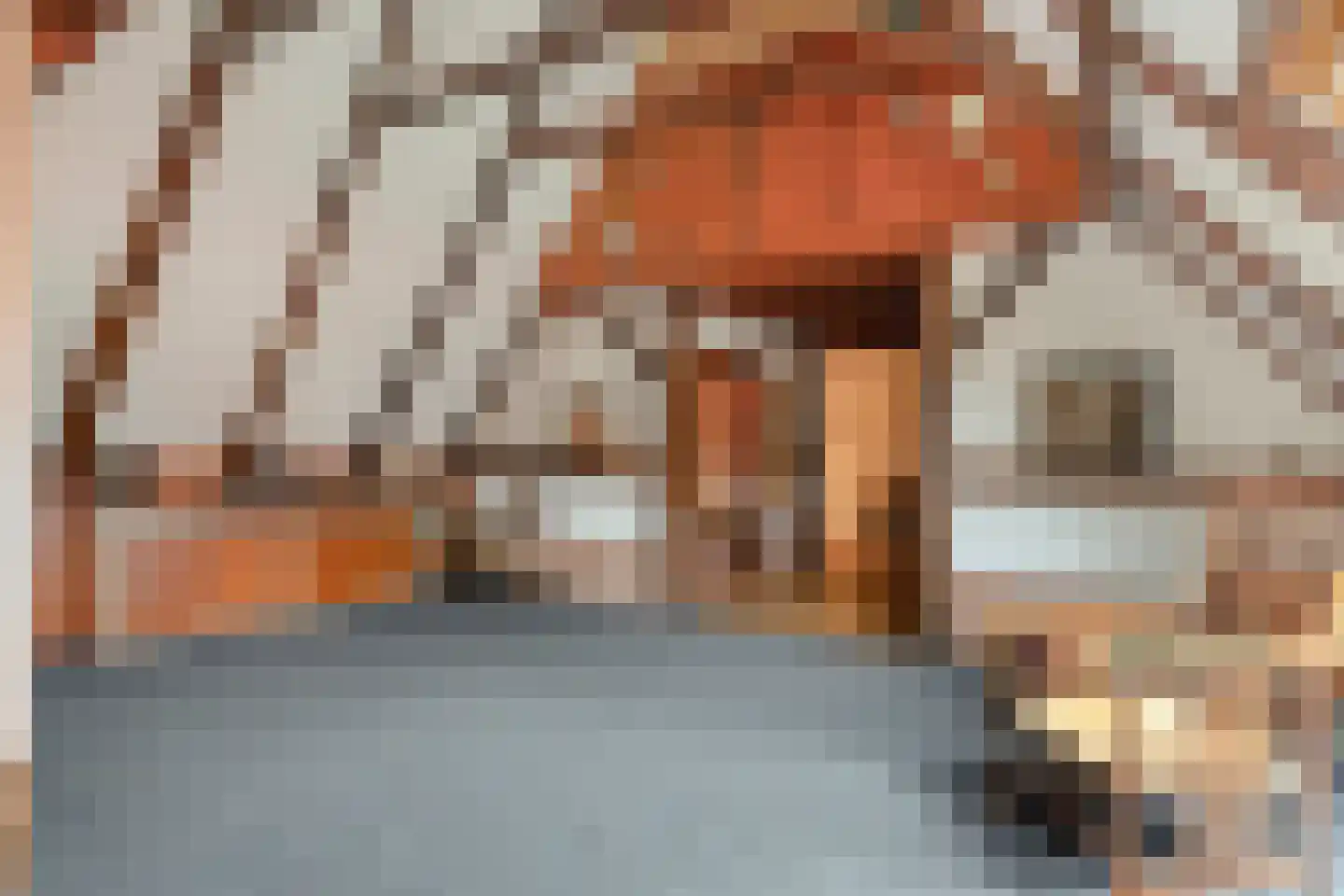 Bergstraße 16 Bad Nieuweschans thumbnail 28
