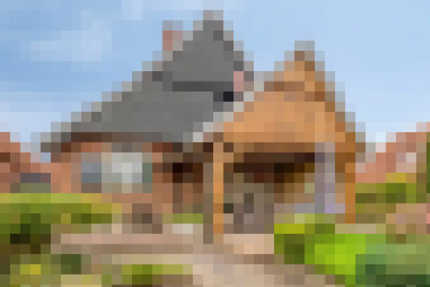 Bergstraße 16 Bad Nieuweschans thumbnail 30