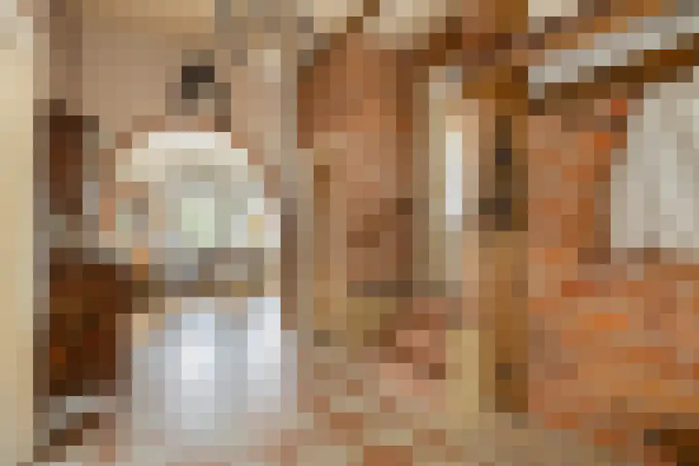 Bergstraße 16 Bad Nieuweschans thumbnail 4