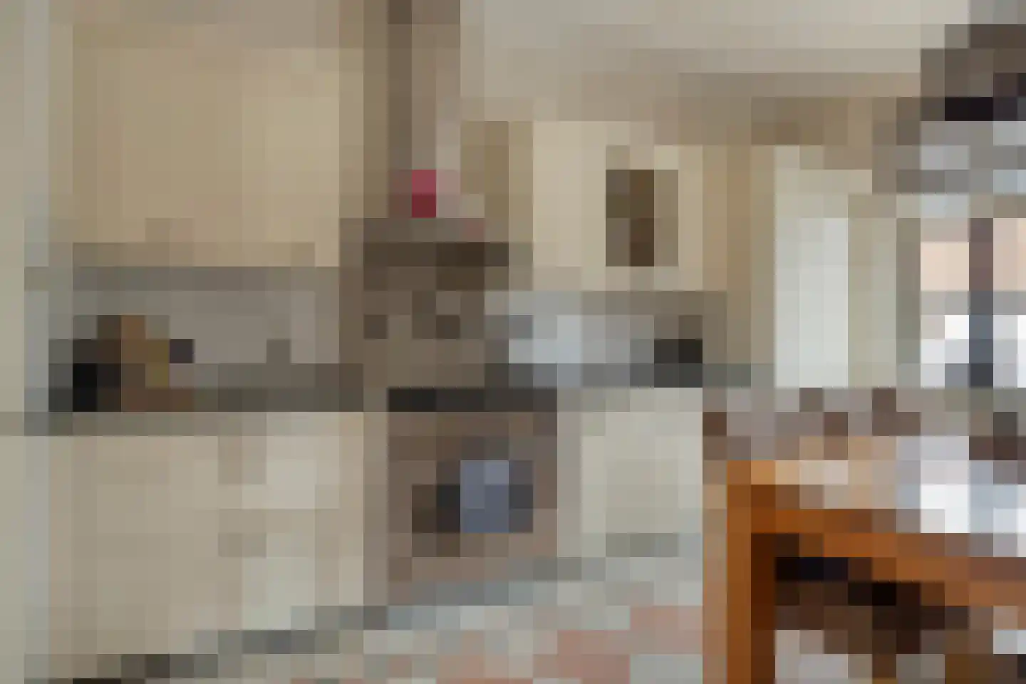 Bergstraße 16 Bad Nieuweschans thumbnail 7