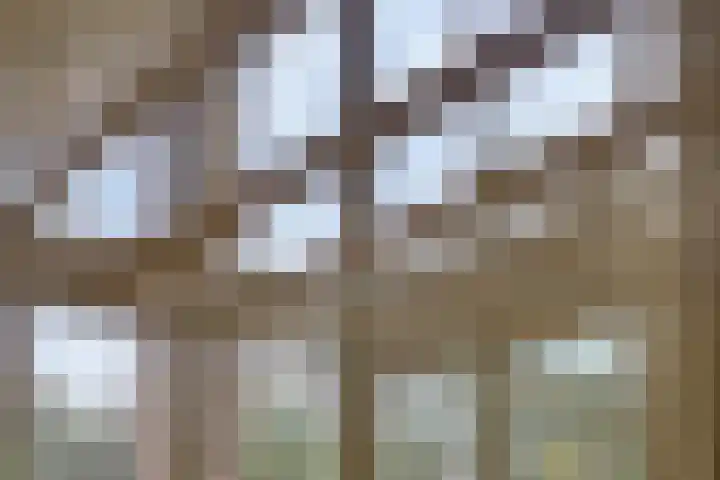Bergumlaan 2 Arnhem thumbnail 20