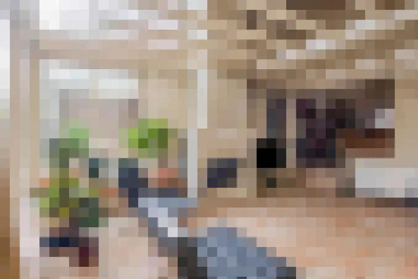 Bergumlaan 2 Arnhem thumbnail 22