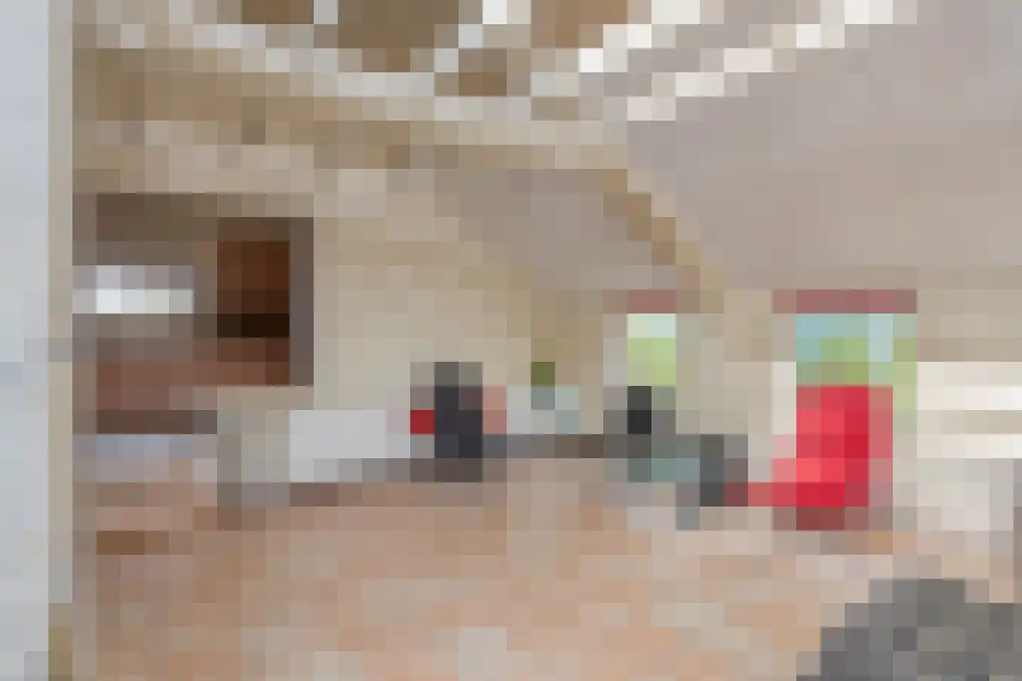 Bergumlaan 2 Arnhem thumbnail 23