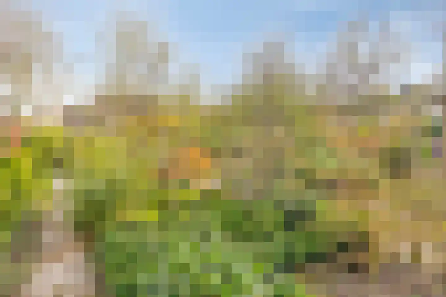 Bergumlaan 2 Arnhem thumbnail 26