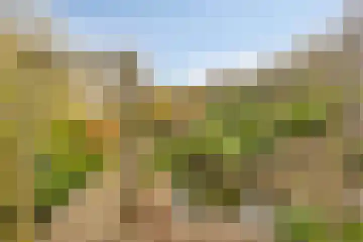Bergumlaan 2 Arnhem thumbnail 27