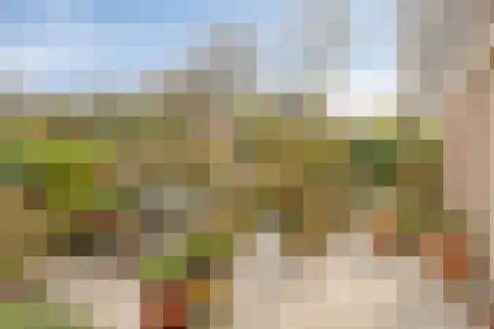 Bergumlaan 2 Arnhem thumbnail 28