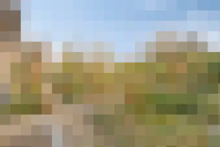 Bergumlaan 2 Arnhem thumbnail 30