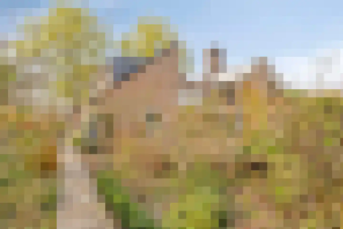 Bergumlaan 2 Arnhem thumbnail 31