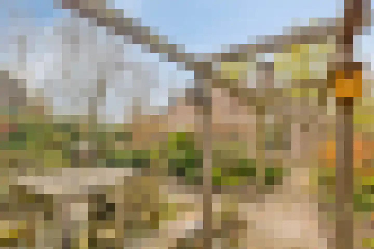 Bergumlaan 2 Arnhem thumbnail 32