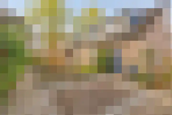 Bergumlaan 2 Arnhem thumbnail 33