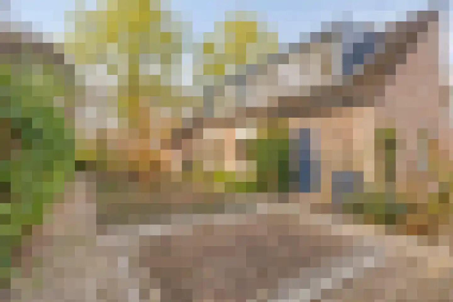 Bergumlaan 2 Arnhem thumbnail 33