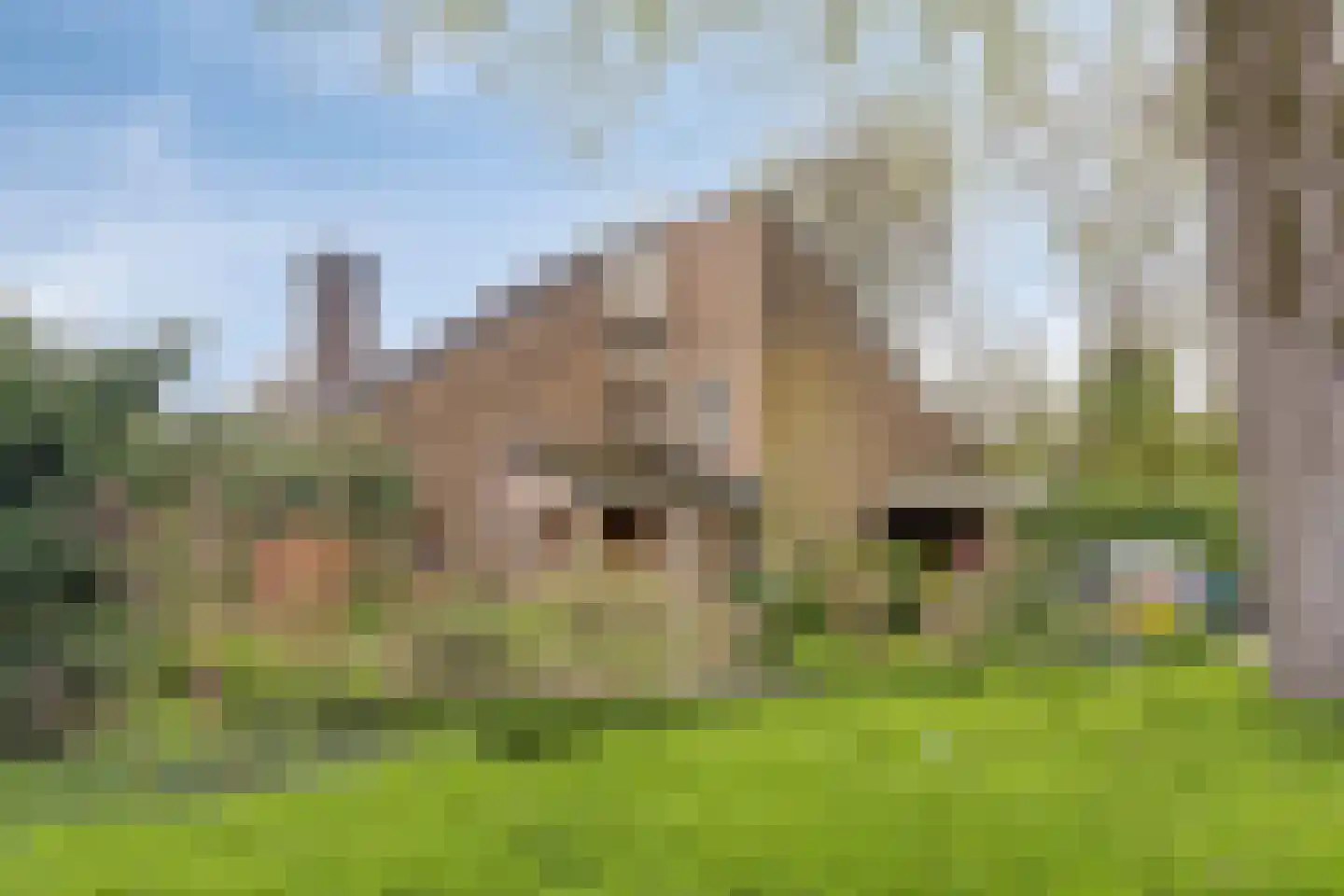 Bergumlaan 2 Arnhem thumbnail 5
