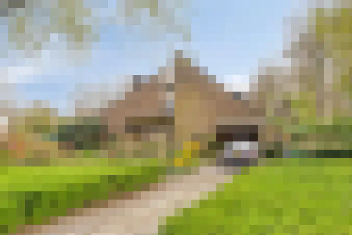 Bergumlaan 2 Arnhem thumbnail 59