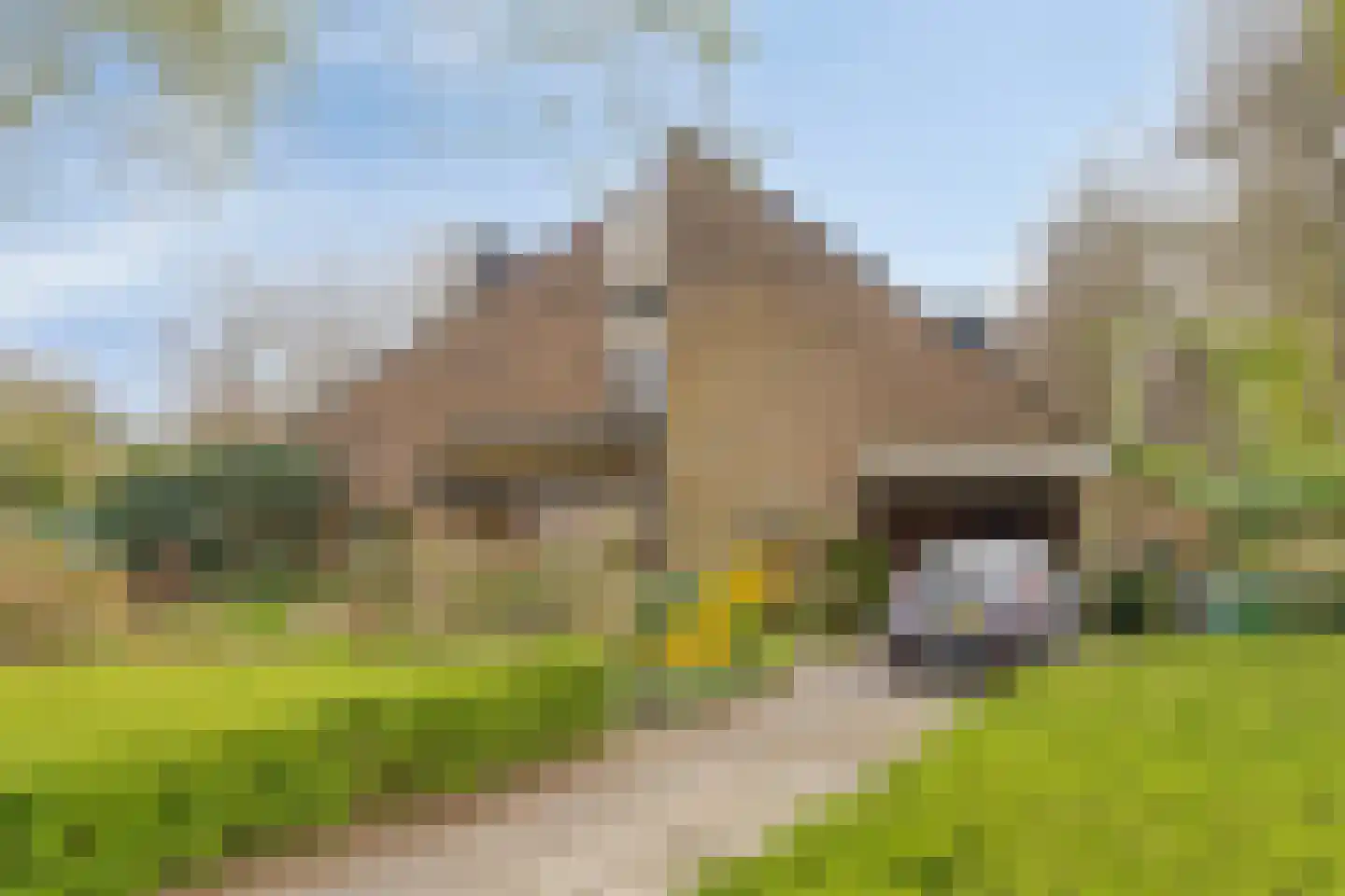 Bergumlaan 2 Arnhem thumbnail 6