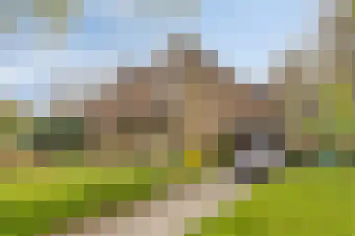 Bergumlaan 2 Arnhem thumbnail 6