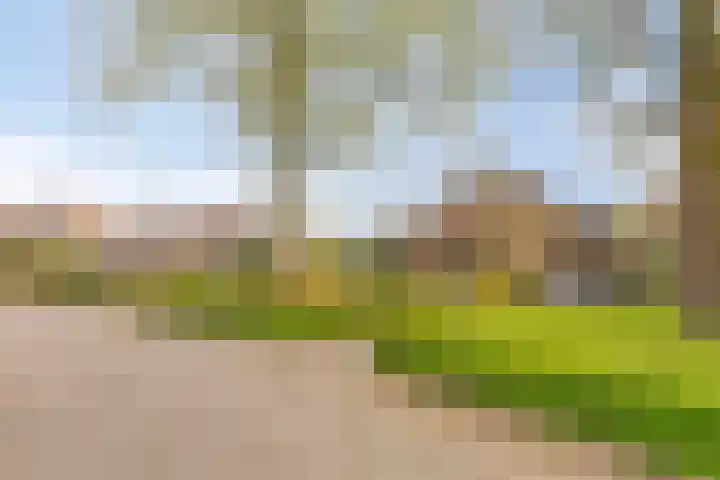 Bergumlaan 2 Arnhem thumbnail 60