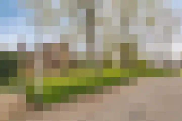 Bergumlaan 2 Arnhem thumbnail 61
