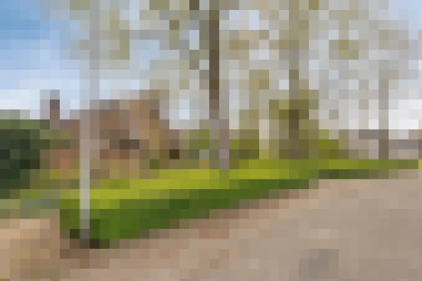 Bergumlaan 2 Arnhem thumbnail 61