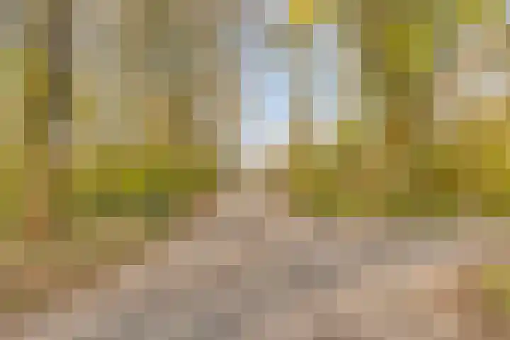 Bergumlaan 2 Arnhem thumbnail 63