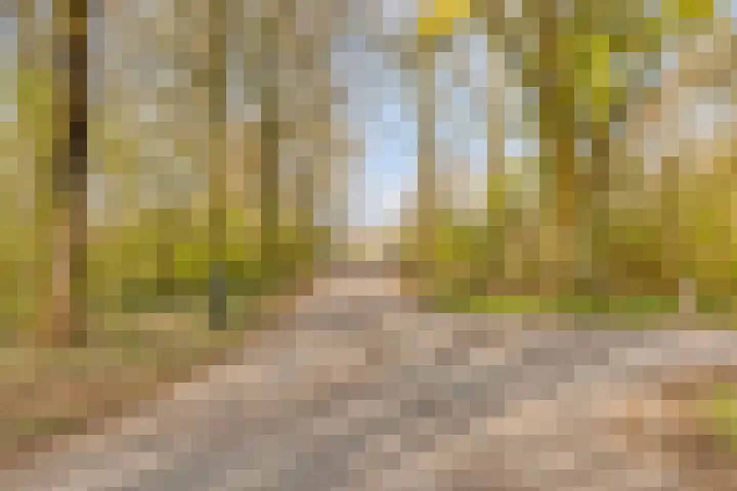 Bergumlaan 2 Arnhem thumbnail 63