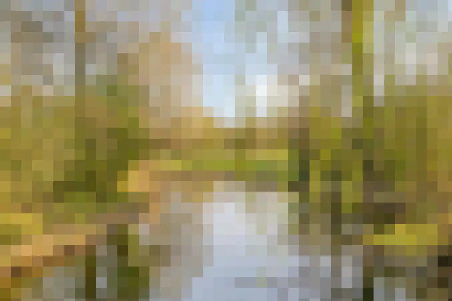 Bergumlaan 2 Arnhem thumbnail 64