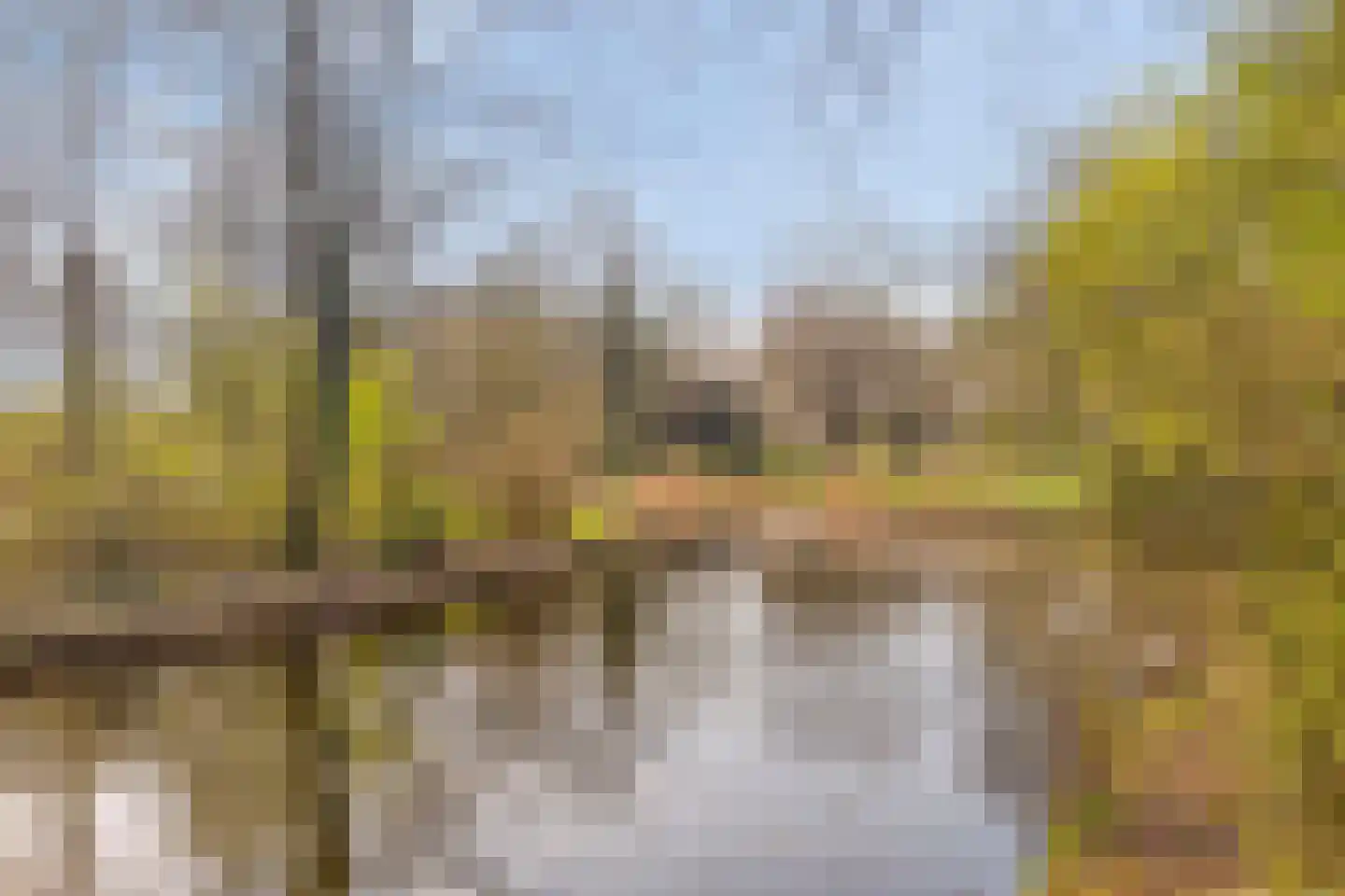 Bergumlaan 2 Arnhem thumbnail 65