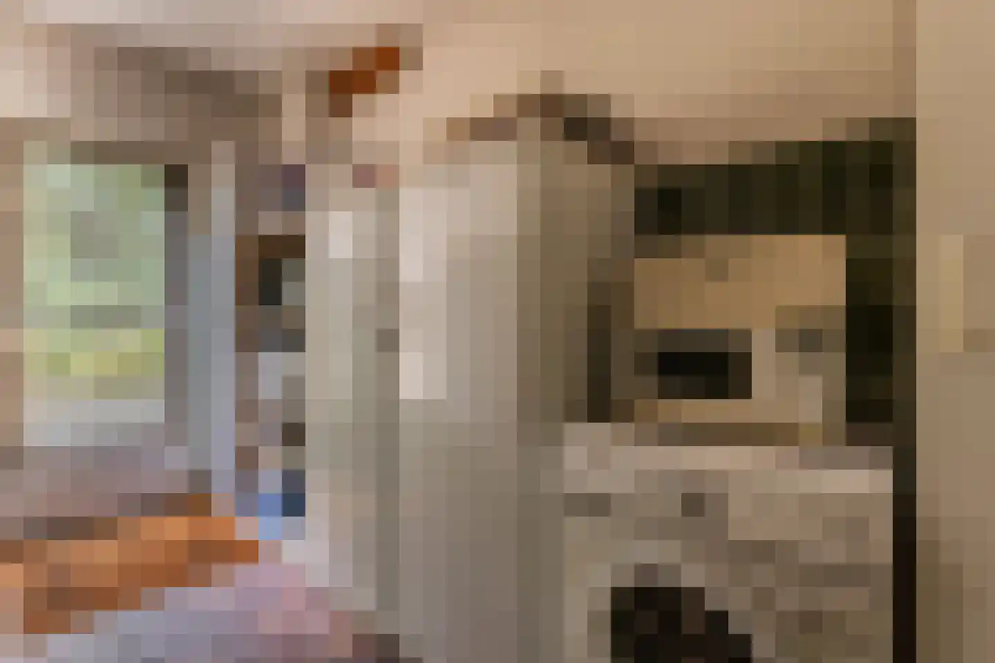 Bergumlaan 3 Arnhem thumbnail 12