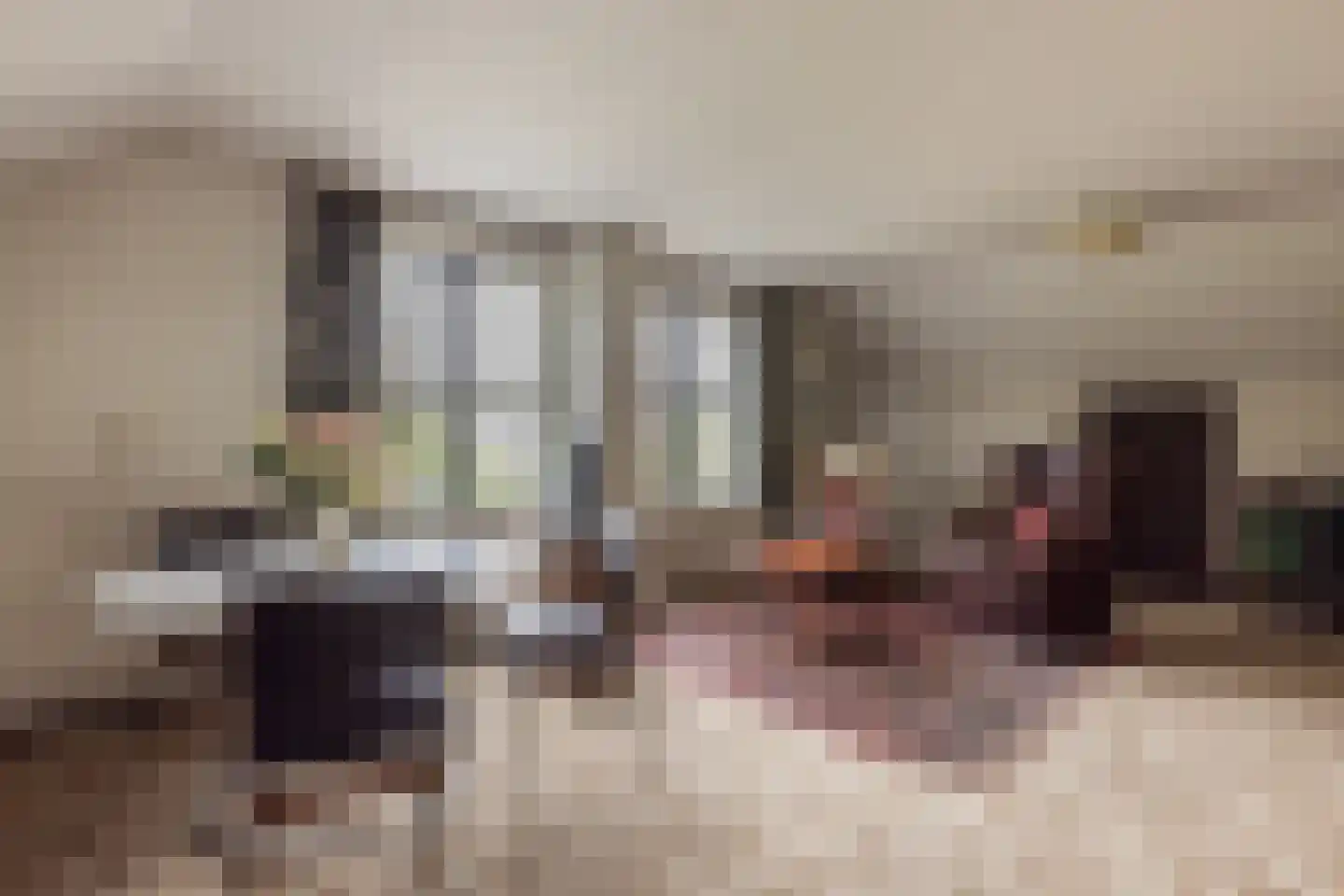 Bergumlaan 3 Arnhem thumbnail 18