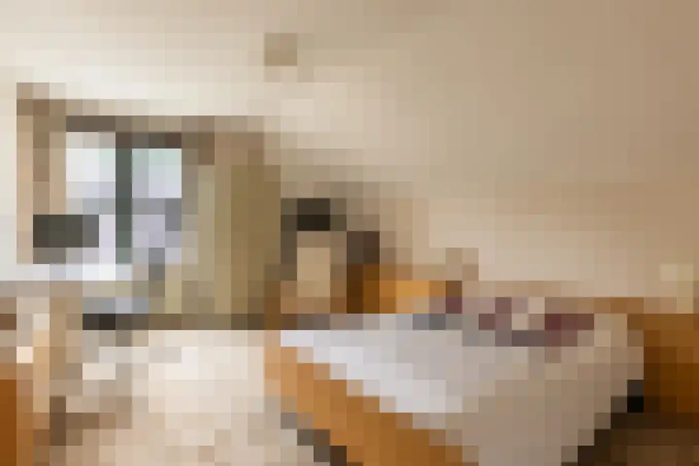 Bergumlaan 3 Arnhem thumbnail 20