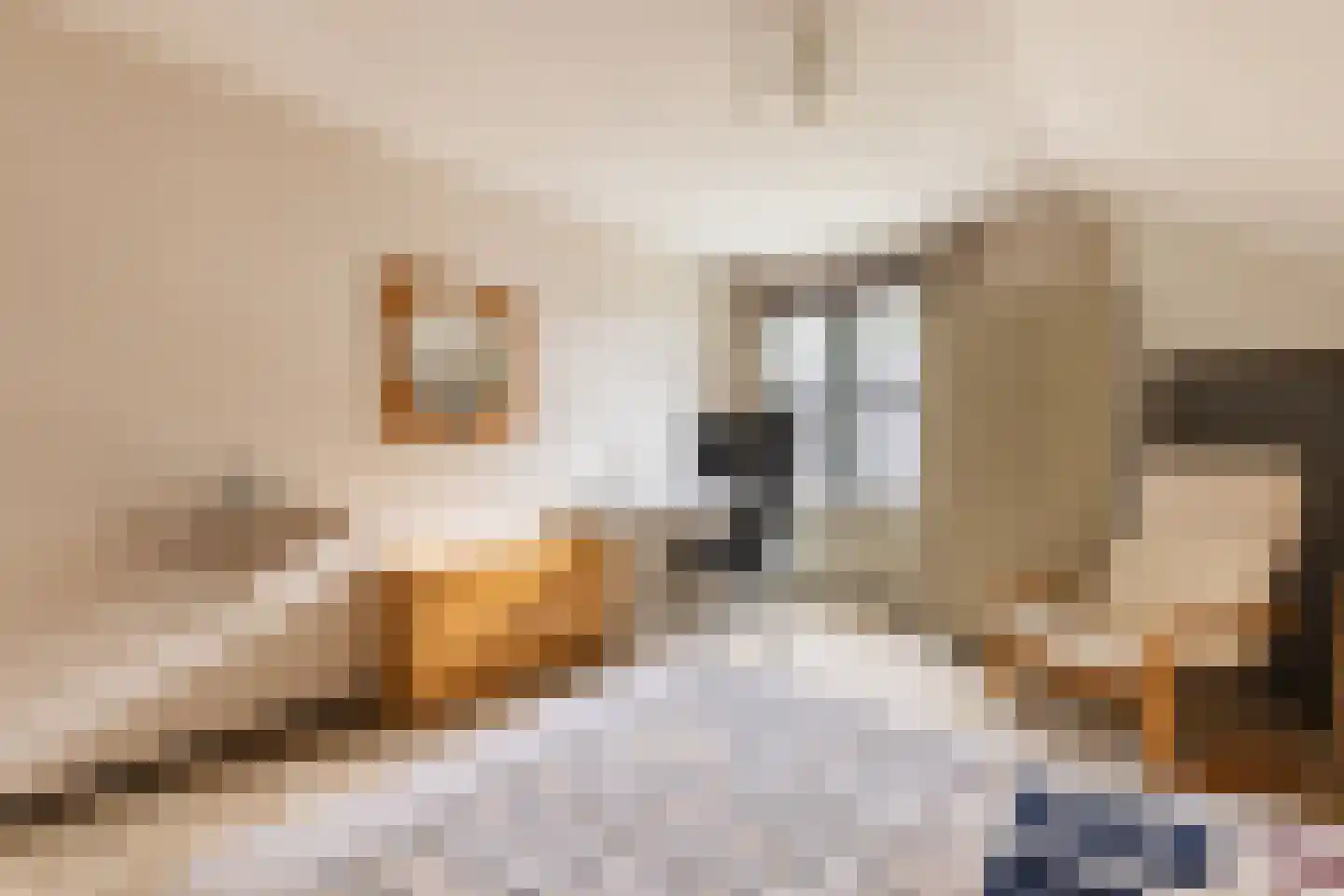 Bergumlaan 3 Arnhem thumbnail 21