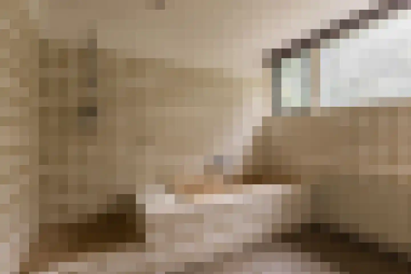 Bergumlaan 3 Arnhem thumbnail 23