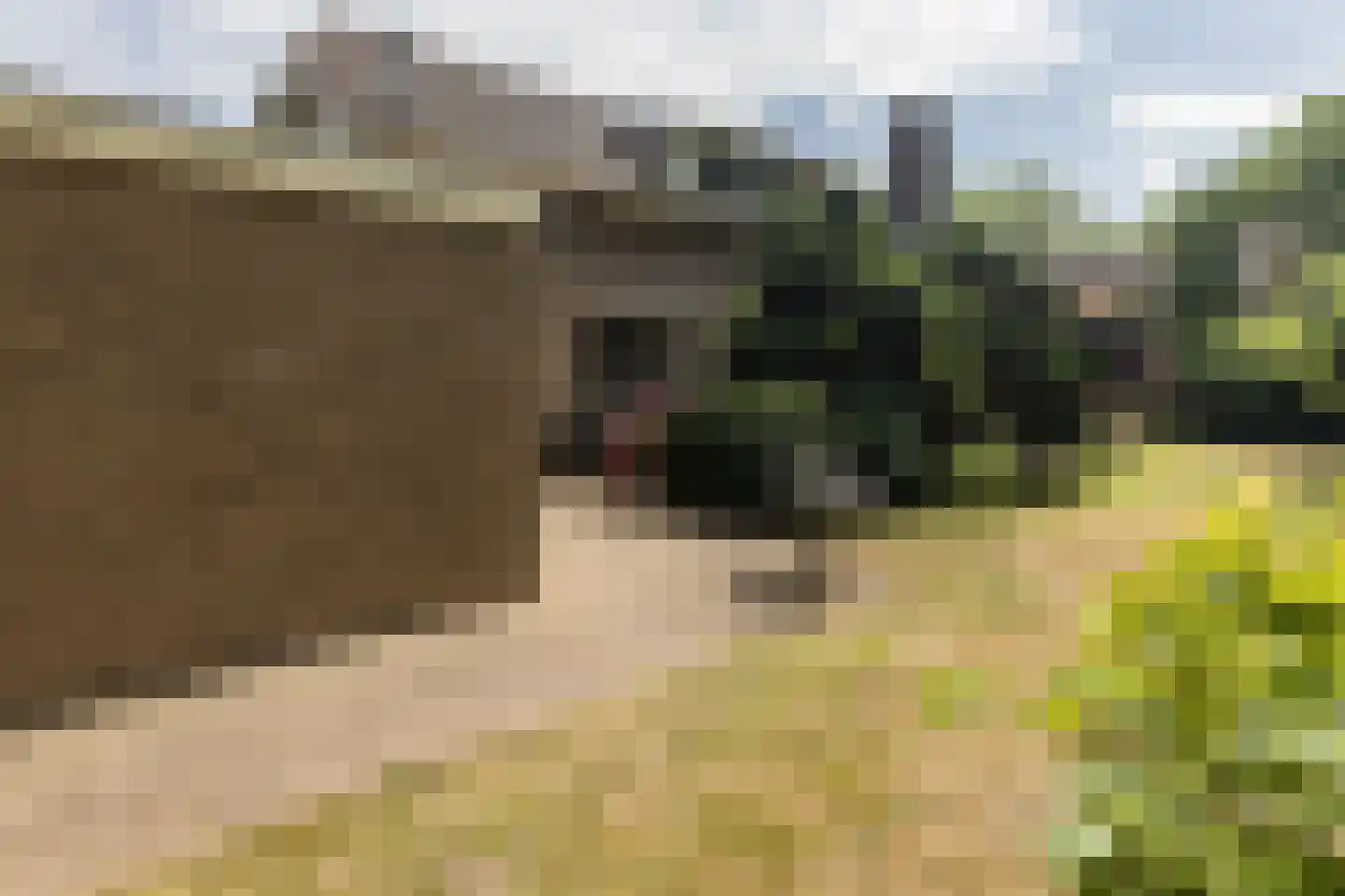 Bergumlaan 3 Arnhem thumbnail 26