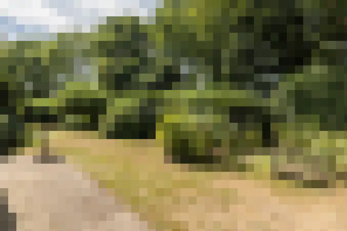 Bergumlaan 3 Arnhem thumbnail 27