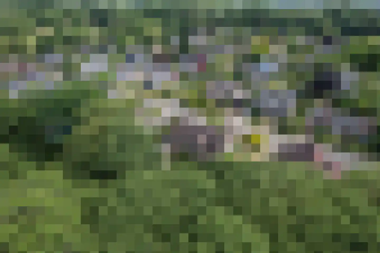 Bergumlaan 3 Arnhem thumbnail 28