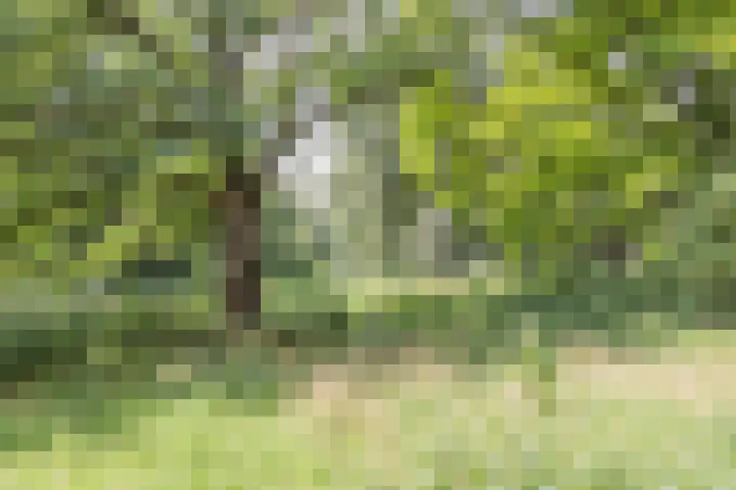 Bergumlaan 3 Arnhem thumbnail 29