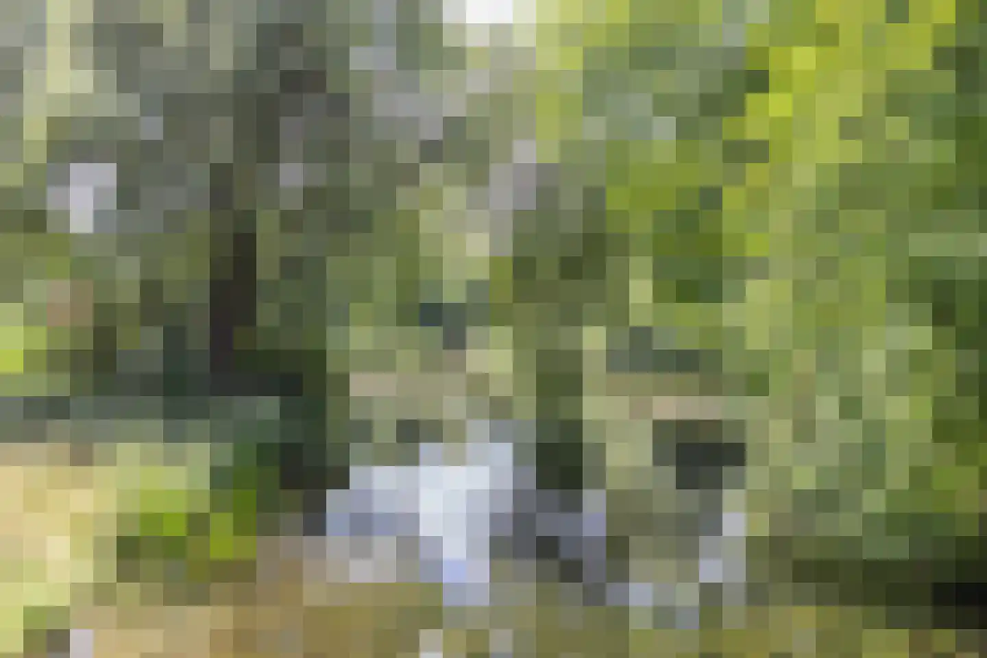 Bergumlaan 3 Arnhem thumbnail 30