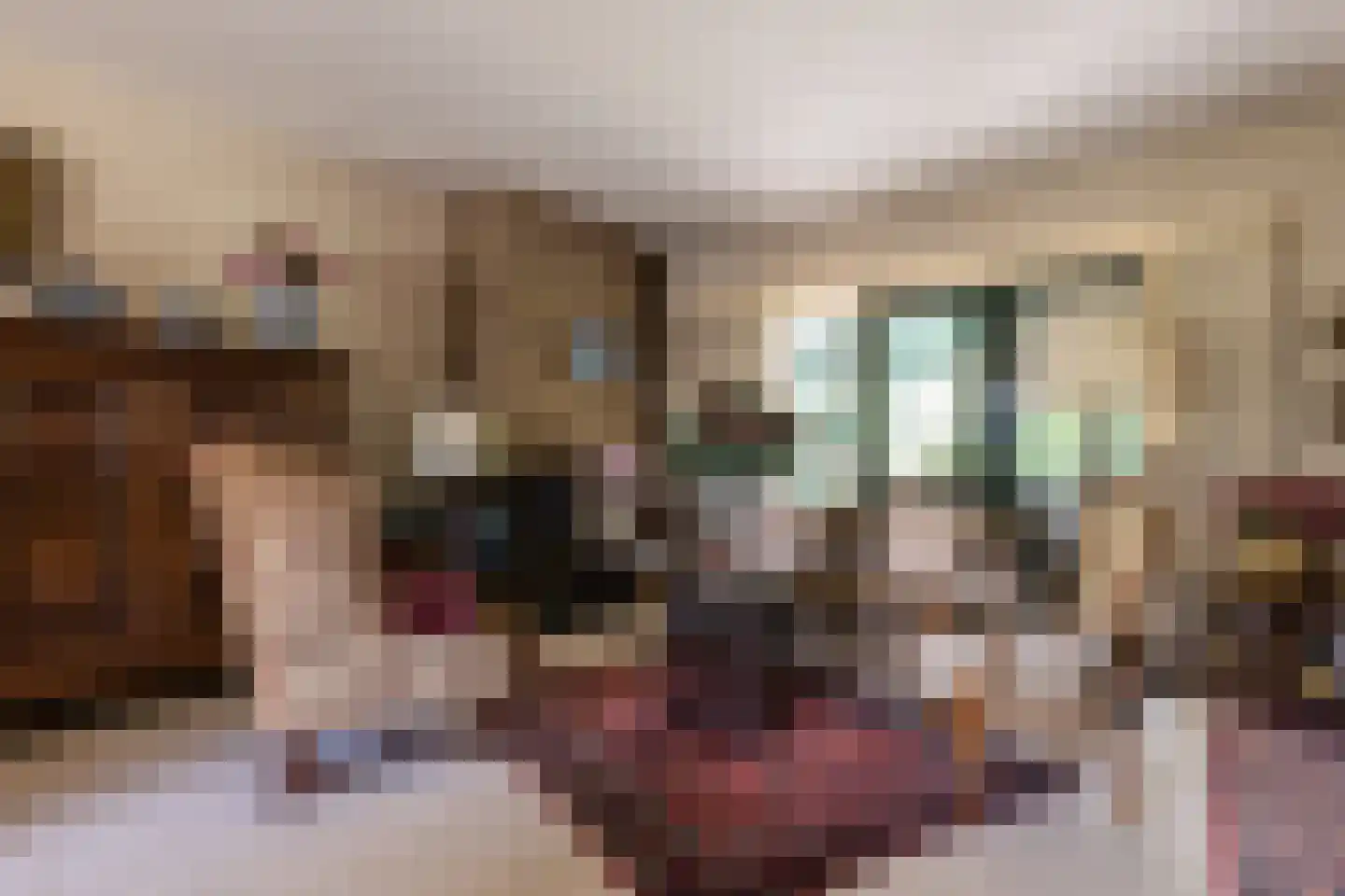 Bergumlaan 3 Arnhem thumbnail 8