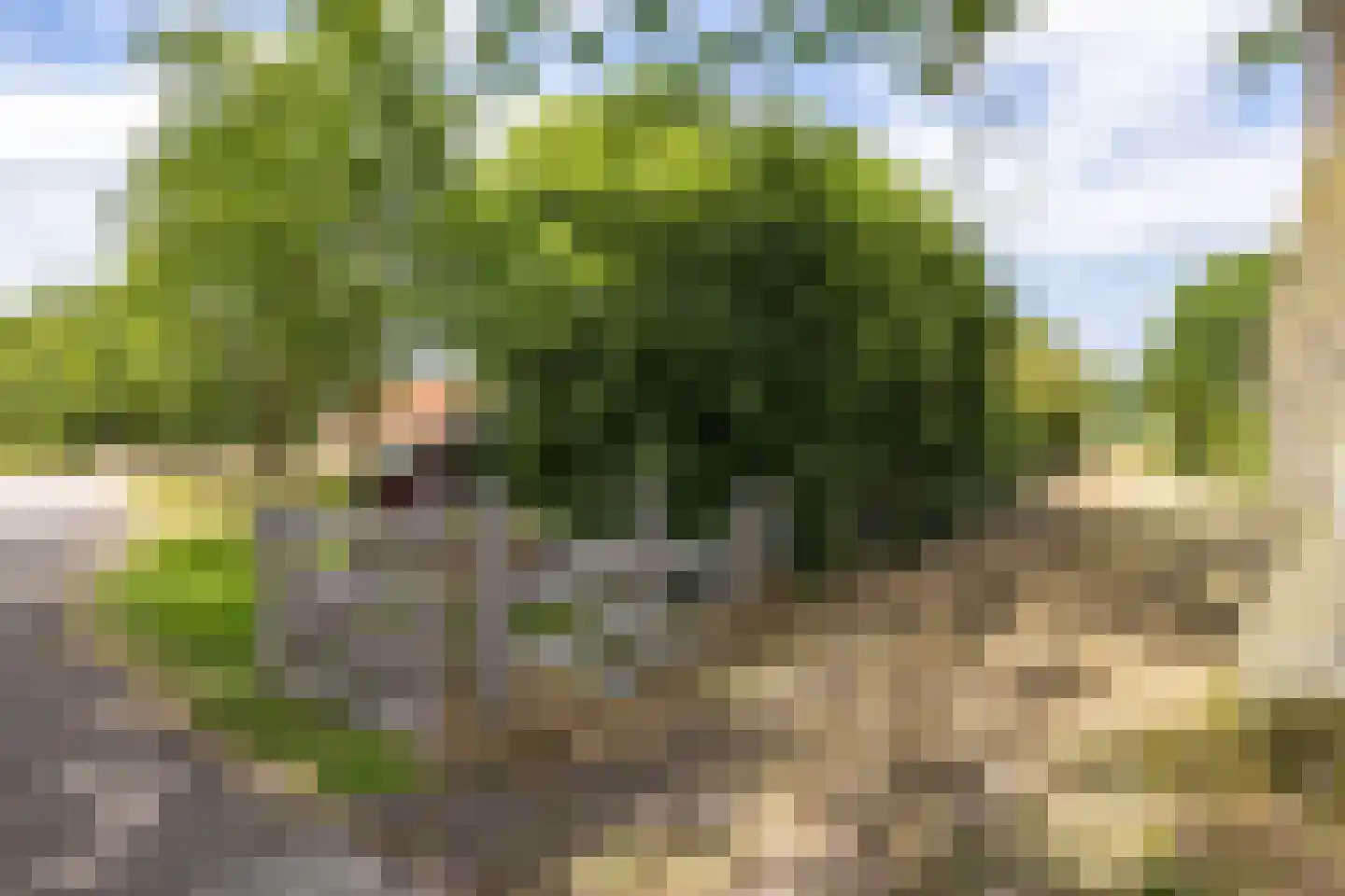 Bergveenweg 1 Veenhuizen thumbnail 10